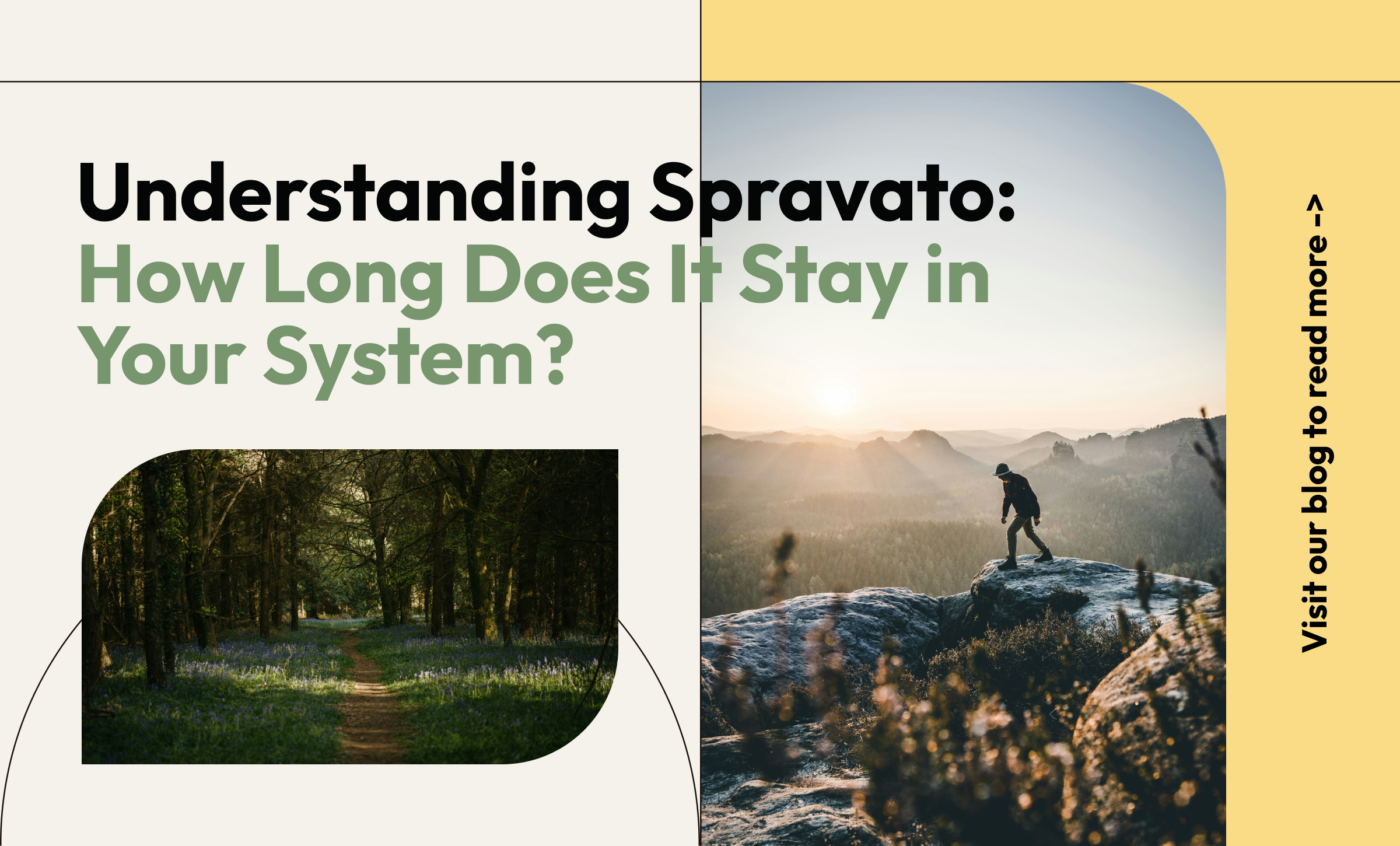 Understanding Spravato: How Long Does It Stay in Your System?